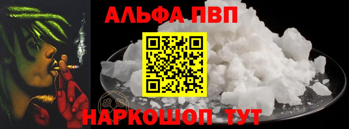 Alfa_PVP СК Черняховск