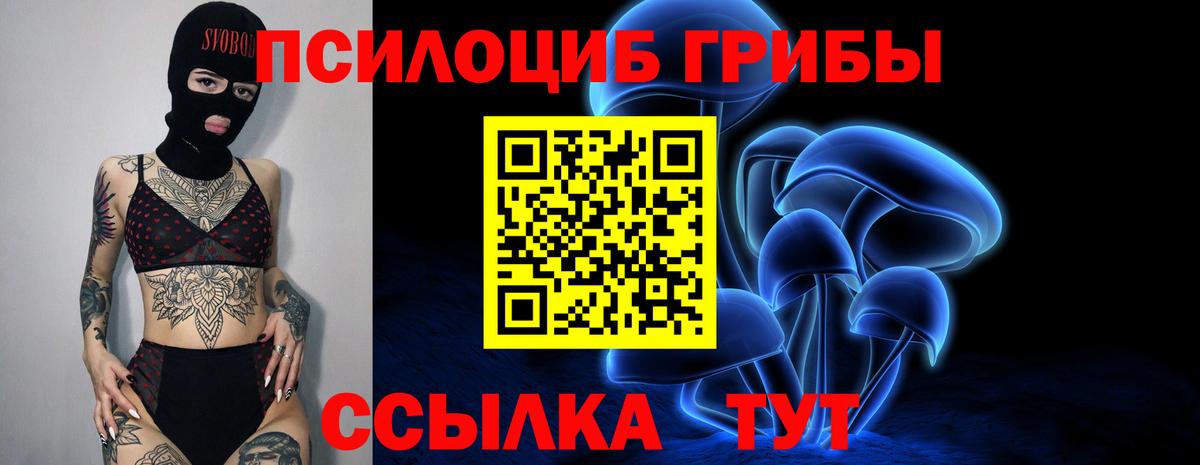 Псилоцибиновые грибы Magic Shrooms Черняховск